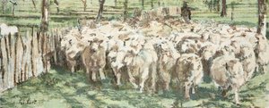 Wij allen als schapen