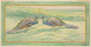 Twee pauwen in een landschap door Walter Shirlaw
