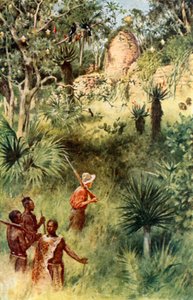 Mauch ontdekt de ruïnes van Zimbabwe