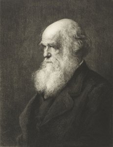 Charles Robert Darwin door Walter William (after) Ouless