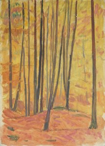 Binnen in het bos