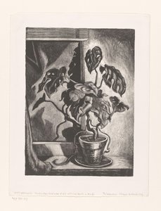 Philodendron in raamkozijn door Wanda Gág