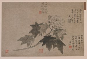 Hibiscus, 1347 door Wang Yuan