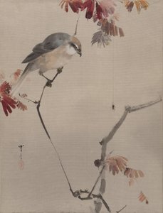 Vogel op tak kijkt naar spin, ca. 1887 door Watanabe Seitei