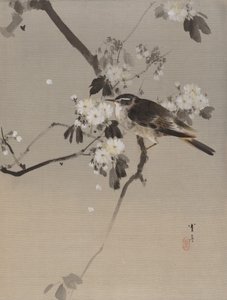 Vogels op een bloeiende tak, ca. 1887 door Watanabe Seitei