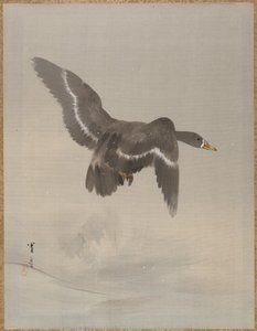 Vliegende gans, ca. 1887