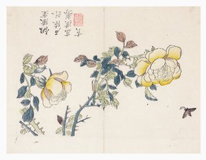 Mosterdzaadtuin door Wen shu Chao