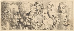 Een verscheidenheid aan hoofden, 1625-77