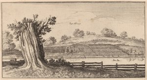 Albury door Wenceslaus Hollar