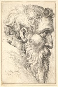 Bejaarde man met baard in profiel naar rechts, 1645