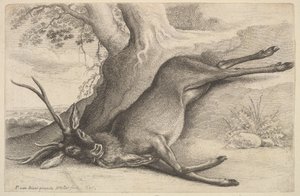 Dode hert