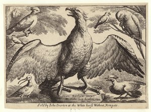 Adelaar en andere vogels door Wenceslaus Hollar