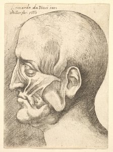 Ecorché-hoofd van een man in profiel naar links, 1660 door Wenceslaus Hollar