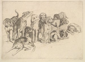 Elf honden door Wenceslaus Hollar