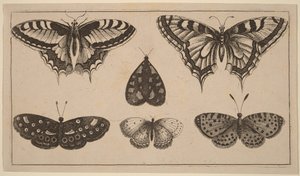  door Wenceslaus Hollar