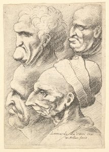 Vier groteske hoofden in profiel naar links door Wenceslaus Hollar