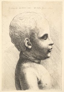 Hoofd en schouder van een kind, in profiel naar rechts, 1645 door Wenceslaus Hollar