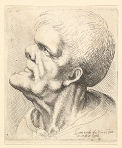 Hoofd van een man met vooruitstekende kin en stompe neus, kijkend omhoog in profiel naar links, 1625-77 door Wenceslaus Hollar