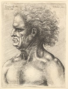 Hoofd van een gespierde oude man in profiel naar links met vloeiend haar, 1625-77