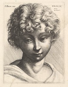 Hoofd van een jong meisje, 1645 door Wenceslaus Hollar
