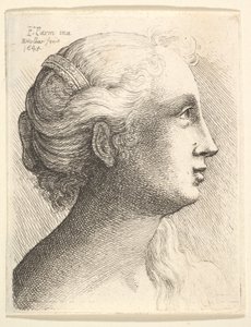 Hoofd van een jonge vrouw in profiel naar rechts, 1645 door Wenceslaus Hollar