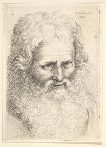 Hoofd van een oude man met een grote baard