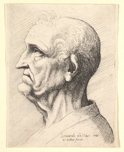 Hoofd van een oude man met krullend haar rond het oor in profiel naar links door Wenceslaus Hollar
