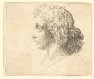 Hoofd van een jonge man met lang haar in profiel naar links, 1644-52