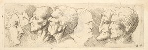 Hoofdstudies
