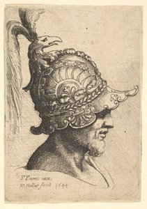 Gepantserde Hoofd met Vogelkop Kam, 1645