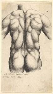 Naakte mannelijke torso van achteren gezien, 1645 door Wenceslaus Hollar