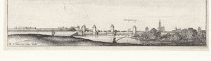 Rivierlandschap met gezicht op Straatsburg