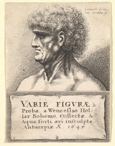 Titelpagina voor Varie Figuræ & Probæ, 1645 door Wenceslaus Hollar