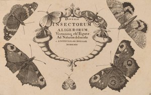 Titelpagina door Wenceslaus Hollar