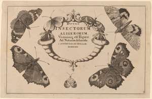Titelpagina door Wenceslaus Hollar