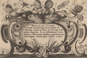 Titelpagina, 1646 door Wenceslaus Hollar