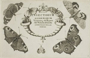 Titelpagina uit Diversae Insectorum door Wenceslaus Hollar