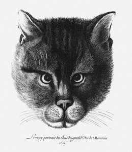 Ware afbeelding van de kat van tsaar Alexis I Mikhailovich van Rusland