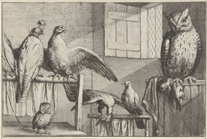 Valken en uilen in een schuur door Wenceslaus Hollar