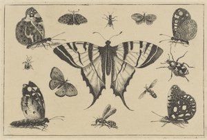 Vlinders, wesp en andere insekten Verschillende insecten (series title)