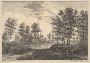 Boslandschap
