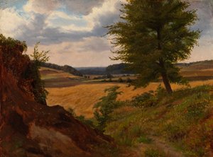 Boom in veldlandschap, studie door Werner Holmberg
