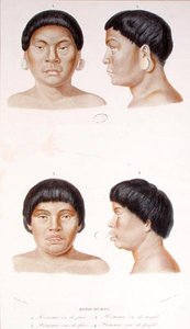 Antropometrische studie van twee Botocudos-indianen, gegraveerd door Fournier, midden 19e eeuw (kleur litho)
