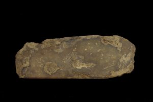 Fragment van een ceremonieel wapen (jade (nefriet))