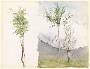 Landschapsschetsen