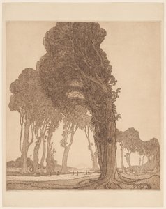 Deel van de grote weg bij de dessa Cakranegara (Tjakranegara) op Lombok