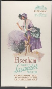 Elsenham Lavendel, 1920s