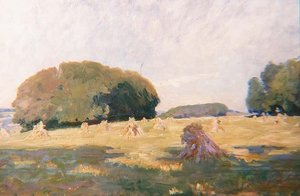 Hooibergen in een veld