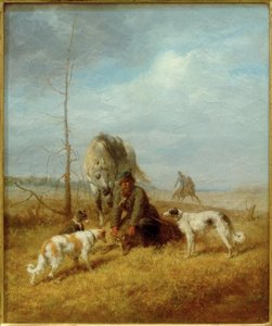 Wolvenjacht in de zomer