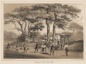 Tshan-Di-Coo-Sah, Lew Chew, 1855